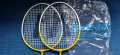 Badminton two rackets with shutle and net for Family fun time. 