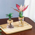 Pots for Pot Imitation Glass Vase Planting Small Potted Green Plant Flower Vases ZHIXING. 