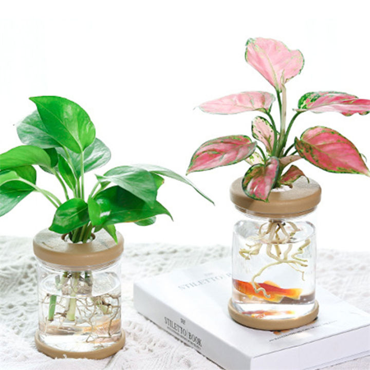 Pots%20for%20Pot%20Imitation%20Glass%20Vase%20Planting%20Small%20Potted%20Green%20Plant%20Flower%20Vases%20ZHIXING%20-%20Image%208
