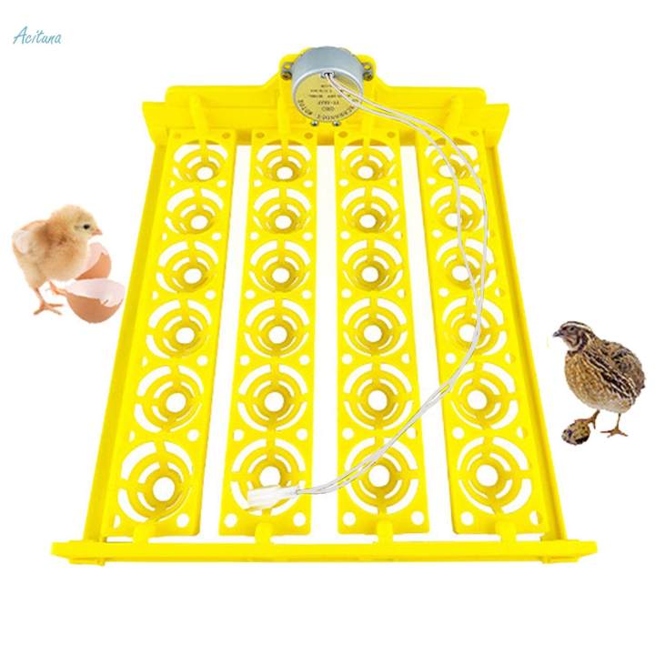 Automatic Egg Turner Tray 24 Eggs Egg Incubator Tray for Chicken Quail Goose 12V