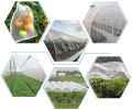 Insect Proof Net Greenhouse Polytunnel 40*40 mesh Insertproof UV Protected Long Durable. 