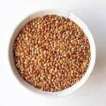 Pure Kollu Seeds Horse Gram 1kg. 