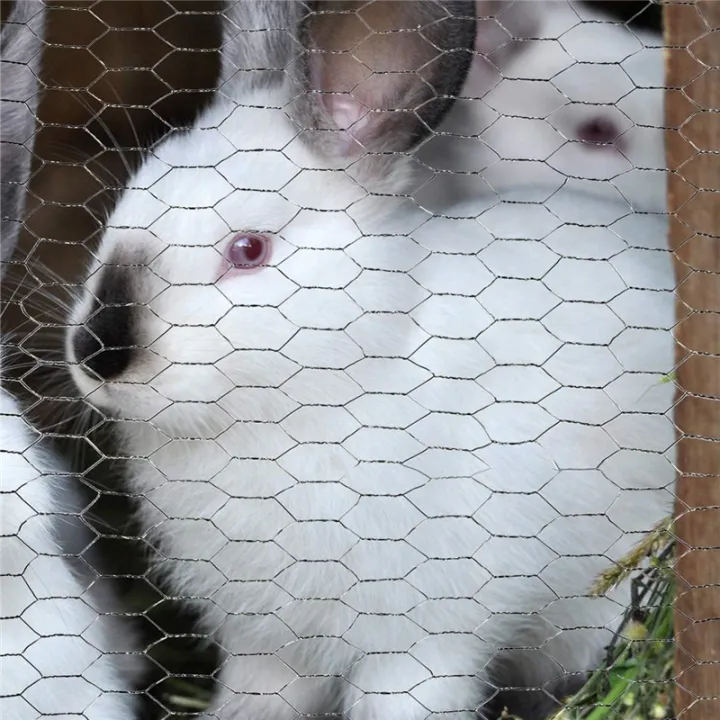 Chicken%20Wire%20Mesh%20Floral%20Chicken%20Wire%20Hexagonal%20Chicken%20Wire%20Fencing%20Fit%20For%20Garden%20Craft%20Projects%20-%20Image%202