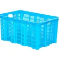 Daxer Vegitbe Crate-DVC001. 