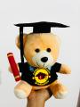 Graduation Teddy Bear | Graduation Gift Degree Bear | University Convocation Gift | Diploma Gift (24cm). 