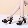 2024 New Sandals Women's High Heels Chunky Heel Waterproof Platform Thick Bottom Fish Mouth Internet Celebrity Versatile Single-Layer Shoes Summer Non-Slip. 