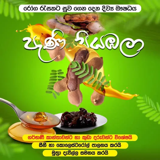 Honey Tamarind - පැණි සියඹලා - Pani Siyabala