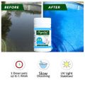 100 Pcs Pool Cleaning Tablets Disinfection Pills Chlorine Pills Instant Effervescent Pipes Water Cleaning Disinfection. 