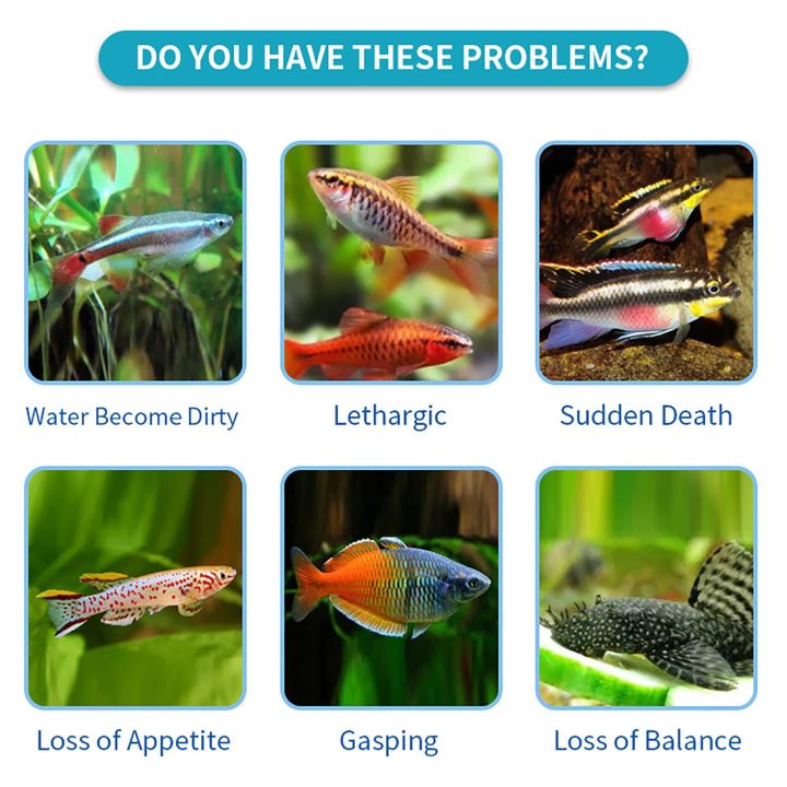 100PCS%20Water%20Test%20Strips%20Fish%20Tank%20Testing%20Strips%20Aquarium%20Testing%20Strips%20For%20Total%20Hardness%20Nitrite%20Nitrate%20Carbonate%20PH%20-%20Image%207
