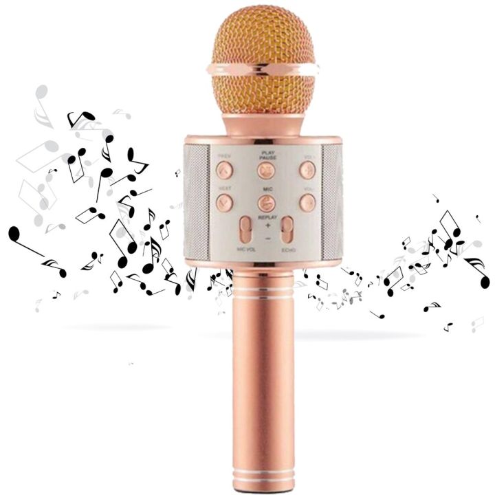Wireless Mic Bluetooth Handheld Microphone Stand Karaoke Mike with Speaker Voice Recording for Cellphone WS-858