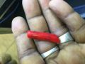 Red Coral 1 1/2 Length. 