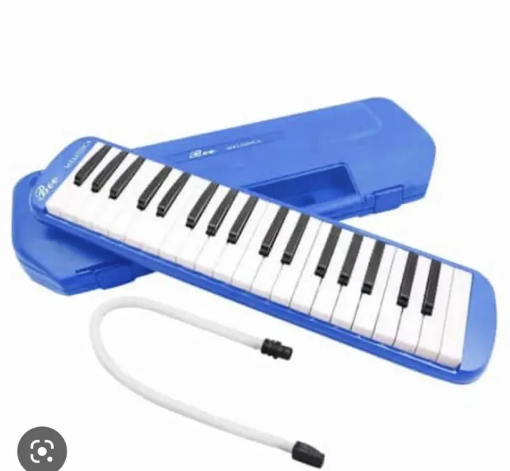 Educational Musical Instrument Colorful 37 Keys Melodica With Plastic Case