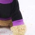 A Dog Clothes Halloween Carnival Funny Pet Clothes Spring And Autumn Winter Pumpkin Dress Witch Costume Two Feet Clothes. 