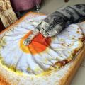 A Poached Egg Omelette Quilt Super Soft Short Plush Pp Cotton Pet Mat Cat Air Conditioner Quilt With Pillow. 