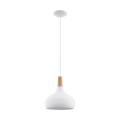 Eglo  Pendant Luminaire. 