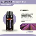 10ml Natural Lavender Rosemary Moisturizing Fragrance Aromatherapy Essential Oil. 
