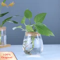 SuperRide Air Plant Propagation Jar Glass Planter with Wooden Tray for Hydroponic Plants Tabletop Propagation Vase for Air Plants Flower Cuttings Buyers' Favorite Hydroponic Plant Vase. 