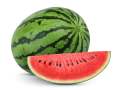 Watermelon Seeds, Pani Komadu Beeja, Gardening Agriculture Home, 10 Seeds. 