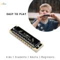 Portable Harmonica 10 Holes Mouth Organ for Kids Musicians Music Lovers. 