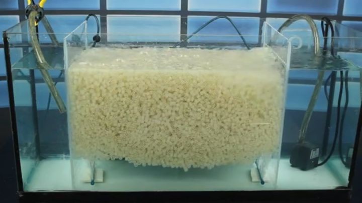 K1%20Filter%20Media%20Premium%20Grade%20Moving%20Bed%20Biofilm%20Reactor%20for%20Aquariums,%20Aquaponics,%20Aquaculture,%20Hydroponics,%20Ponds%20and%20Sump%20Filter%20Systems%20-%20Image%205