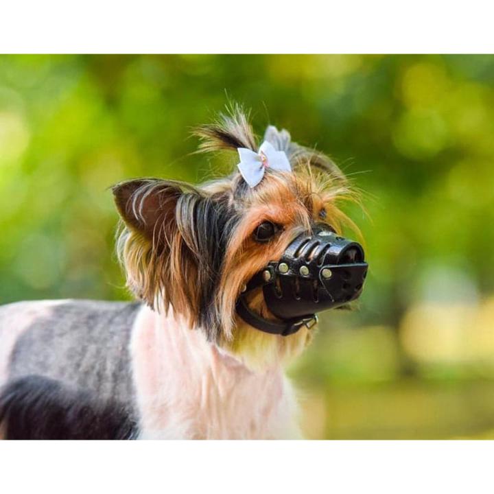 Small Dog Muzzle Heavy Duty Natural Leather Bite Proof Gentle Breathable Buckle Neck Strap Adjustable Pet Dogs Muzzles Anti Bite Mouth Prevent Biting Chewing Barking Daraz.lk