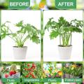Garden Trellis for Climbing Plants, Plant Stand for Potted Plants Climbing, Tomato Cage Tall Plant Support, Can be Assembled into a Variety of Sizes Garden Trellis. 