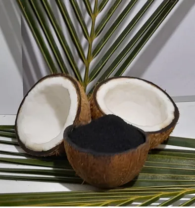 Activated%20coconut%20shell%20charcoal%20powder%20-%20Image%206