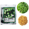 Turkey Berry Seeds Thibbatu Beeja 0.5g Home Gardening Agriculture. 