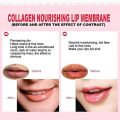 Jakuva 30 PCS Pink Gel Collagen Lip Mask,Crystal Moisturizing Lip Plumper Patches For Anti Wrinkle, Anti Chapped, Firms & Hydrates Lips,Pink (Pink)  FROM DUBAI(SAM). 