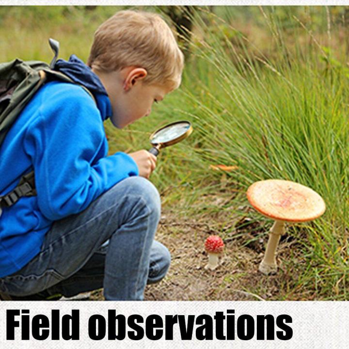 10X%20Handheld%20Magnifier%20High%20Clarity%20Reading%20Magnifying%20Glass%20for%20Book%20Newspaper%20Maps%20fine%20Print,Soldering%20Repair,Inspection%20-%20Image%204