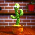 Talking and Dancing Cactus Toy. 