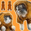 VibeVendor Dinosaur Costume For Dogs pets dino dog costume animal dog hoodie panda for maltese Safari costume for dog chihuahua clothes dog clothes for shih tzu dog jumpsuit for French Bulldog Dog onsie for chowchow. 