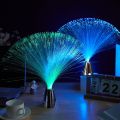 LED Fiber Optic Lamp Multicolor Star Sky Light For Holiday Wedding Centerpiece Optic Fiber LED Night Lighting Decor lamp. 