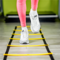 Sports Speed Agility Training Set 10 Disc Cones and Agility Ladder. 
