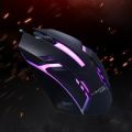 Y-FRUITFUL Gaming Mouse Ergonomic Wired Mouse Gamer  with Backlight for PC Laptop. 