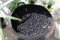 Wood Charcoal Orchids Organic Fertilizer Agriculture contains potassium carbonate Home Garden CS Agro. 
