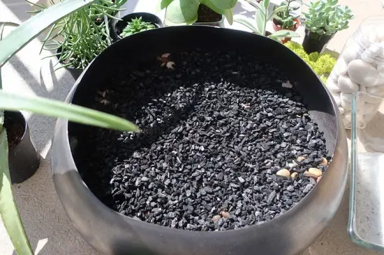 Wood%20Charcoal%20Orchids%20Organic%20Fertilizer%20Agriculture%20contains%20potassium%20carbonate%20Home%20Garden%20CS%20Agro%20-%20Image%205