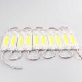 20pcs Super Bright LED COB Module Light 12V IP65 Waterproof Backlight for Shop Signboard Advertisement Sign Letter Decor Lamp. 