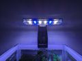 Ultrathin LED clip on lamp,duel colour lamp, 3W suitable for all kind of fish tank,terrarium tanks, planted tanks.. 