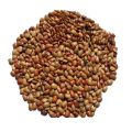Kollu seeds (horse gram) - 1Kg. 