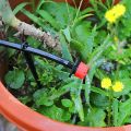 200 Adjustable Irrigation Drippers with Drip Irrigation Kit for Garden Watering Fitting. 