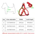 PAW PRINT SMALL DOG HARNESS. 
