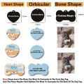 Personalized Custom Pets Cat Name Tags Pendant Customized Papillon Dog ID Tag Collar Accessories Nameplate Metal. 