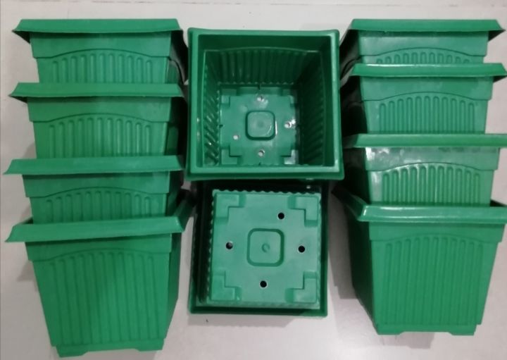 Plastic%20Pots%20(HEIGHT-14cm/WIDE-16cm)-10%20PCS%20PER%20PACK-Black%20,%20Red,Black&Green%20-%20Image%204