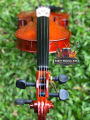 Supreme Lark Violin 05 Years Warranty - Beginners, Kids & Adults - Beginner Kit For Student w/Hard Case, Rosin, Bow - Starter Violins, Wooden Stringed Musical Instruments. 