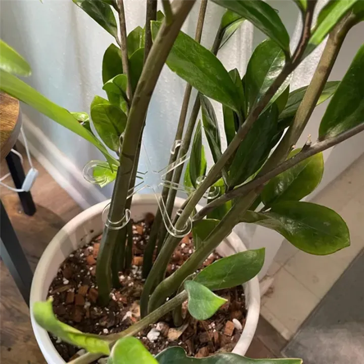 JAERBEE%20Plant%20Stem%20Support,%20Acrylic%20Plant%20Climbers%20Stem%20Holders%20Reusable%20Plant%20Growth%20Accessories%20Stakes%20for%20Growing%20Plants%20A%20-%20Image%205