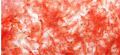 Red Top Brine Shrimp Eggs 20g with 95% Hatching Rate. 