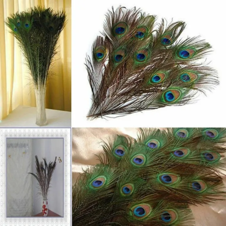 10/20/50Pcs%20Real%20Natural%20Peacock%20Tail%20Eyes%20Feathers%20For%20DIY%20Clothes%20Decoration%20Wedding%20Party%2025-30cm%20Beautiful%20Peacock%20Tail%20Feathers%20-%20Image%205