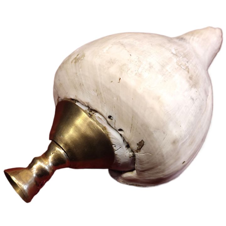 Sri%20Lankan%20Traditional%20Hakgediya%20Blowing%20Conch%20Shell%20with%20Brass%20Mouthpiece%20%7C%20Hakgediya%20(%E0%B7%84%E0%B6%9A%E0%B7%8A%E0%B6%9C%E0%B7%99%E0%B6%A9%E0%B7%92%E0%B6%BA)%20Large%20Sea%20Mollusk%20Shell%20Trumpet%20%7C%20Cultural%20Instrument%20for%20Festivals,%20Weddings%20&%20Auspicious%20Ceremonies%20%7C%20Traditional%20Blowing%20Conch%20Shell%20-%20Image%202