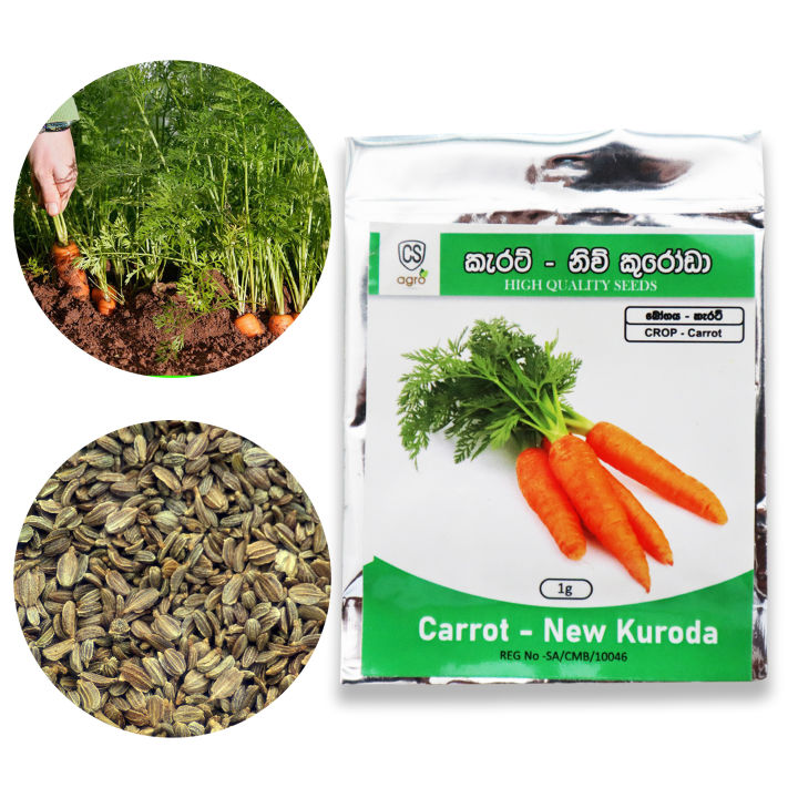 Carrot New Kuroda Seeds 1g කැරට් බීජ